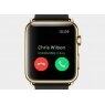 Apple Watch - Đồng hồ thông minh toàn diện